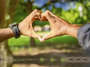 Close Up Heart Shape Drucke: Close up of two hands together in a heart shape
