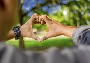 Close Up Heart Shape Drucke: Close up of two hands together in a heart shape