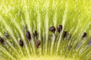 Wildlife Studio Photography Drucke: Close up on Kiwi fruit