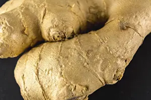 Deserted Plant Section Drucke: Close up detail of a piece of ginger
