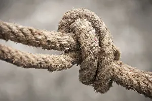 Blurred Background Image Drucke: Close up of rope with blurred background