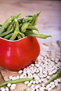 Common Bean Nutrition Facts Drucke: Close up shut of green beans on the table