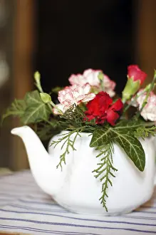 Heralds Of Spring Drucke: Close up of spring flowers in the pot
