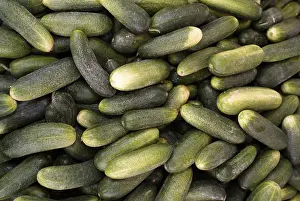 Cucumber Detail View Drucke: Close up of stacked cucumbers
