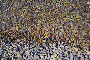 Mediterranean Shoreline Drucke: Close-up of colourful pebbles with textures and patterns