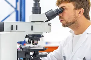 Biologist At Work Drucke: Close-up of a concentrated biologist using microscope during research in laboratory