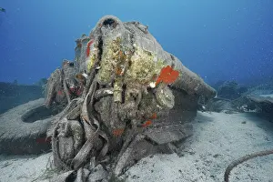 Underwater Photo Spain Drucke: Close-up of the engine of a corroded wreck on the seabed