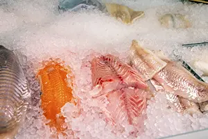 Fish Counter Drucke: Close-up of a fish counter