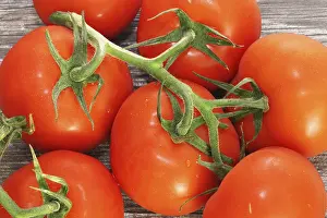 Close Up Tomatoes Drucke: Close-up of fresh tomatoes