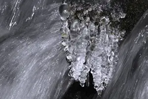 Elbe Sandstone Mountains Scenery Drucke: Close-up of icicles on a mountain stream