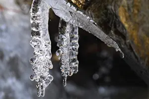 German River Landscapes Drucke: Close-up of icicles on a mountain stream
