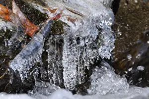Saxon Switzerland Landscape Drucke: Close-up of icicles on a mountain stream