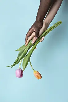 Multiethnic Hands Drucke: A close-up image captures the harmonious interaction of multiethnic hands