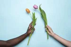Pastel Blue Background Drucke: Close-up of a multiethnic pair of hands