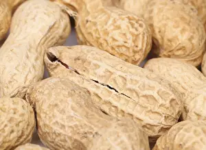 Studio Shot Of Peanuts Drucke: Close-up of some peanuts. background of some peanuts