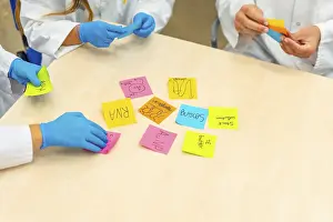 Young Adults In Healthcare Drucke: Close-up photo of group of scientists during a brainstorm study using notes in lab