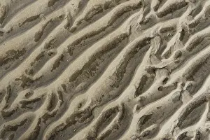 Northern Germany Landscape Drucke: Close-up of a rib structure on a beach