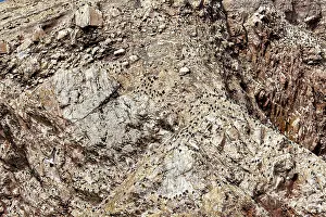 Rocky Shoreline Scenery Drucke: Close-up of rocks and birds on rough surface
