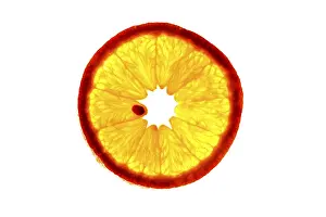 Orange Nutrition Facts Drucke: Close-up, slice of an orange in back light