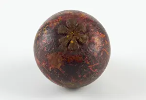 Fruit Nutrition Facts Drucke: Close-up of the underside of a mangosteen with a flower-like pattern
