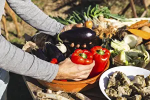 Vegetable Garden Produce Drucke: A close-up of vibrant, fresh vegetables set on a rustic table