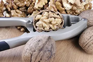 Walnut Detail Drucke: Close-up of a walnut
