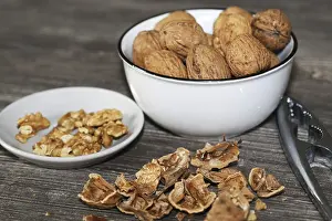 Close Up Walnuts Drucke: Close-up of walnuts on the table