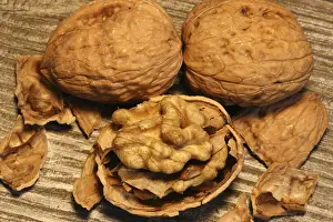 Close Up Walnuts Drucke: Close-up of walnuts on the table