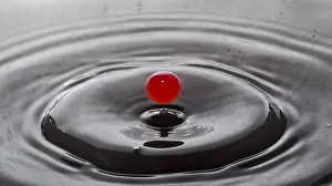 Water Drop Details Drucke: Close-up of water droplets