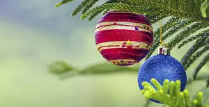 Festive Christmas Baubles Drucke: Close up of view of Christmas balls on pine tree