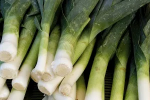 Inflorescence Details Drucke: A close up view of organic leeks