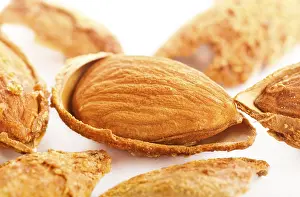 Studio Shot Of Nuts Drucke: Close up view of roasted almonds in shell