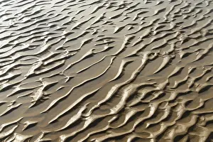 Low Tide Beach Drucke: A close up view of sand structures at low tide on a beach