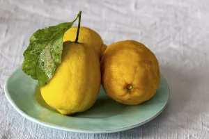 Mediterranean Sea Coast Drucke: Closeup of a amalfi lemon
