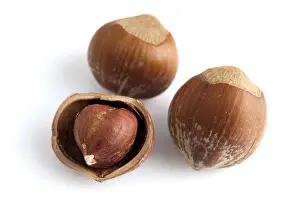 Studio Shot Of Hazelnuts Drucke: Closeup of whole and cracked hazelnuts