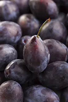 Uninhabited Landscape Photos Drucke: Closeup of plums