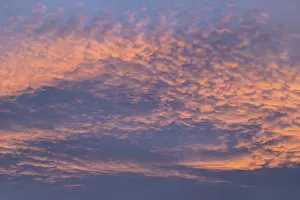 Eastern Norway Landscape Drucke: Cloud atmosphere, Alvdal, Hedmark