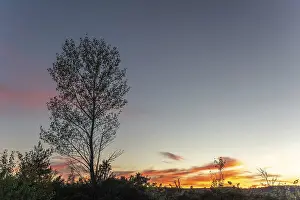 Cevennes National Park Scenery Drucke: Cloud and clear sky during a sunset