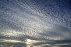 Backlit Cloud Formation Drucke: Cloud formation, Altocumulus translucidus