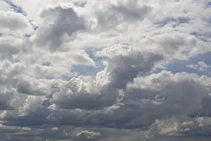 Cumulus Clouds Germany Drucke: Cloud formation, blue sky with cumulus clouds