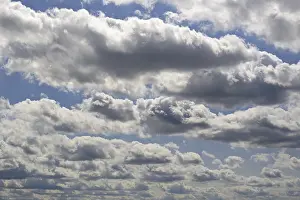Cumulus Humilis Clouds Drucke: Cloud formation, blue sky with cumulus clouds