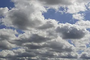 Cumulus Humilis Cloud Drucke: Cloud formation, blue sky with cumulus clouds