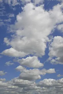 Cumulus Humilis Clouds Drucke: Cloud formation, blue sky with cumulus clouds