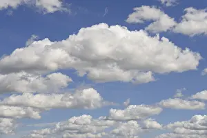 Cumulus Humilis Clouds Europe Drucke: Cloud formation, blue sky with low clouds (cumulus)