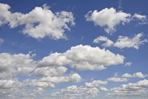 Drucke von Ein wolkenreicher Himmel über Nordrhein-Westfalen: Die niedrigen Wolken (Cumulus) dehnen sich weit aus, während der bläuliche Himmel im Hintergrund leuchtet Humilis Drucke: Wolkenbildung bei blauem Himmel mit niedrigen Wolken (Cumulus)