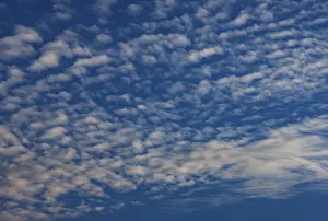European Evening Sky Drucke: Cloud landscape of altocumulus clouds at dusk