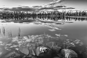 Swedish Forest Scenery Drucke: Cloud reflection in a forest lake