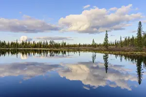 Forest Lake Sweden Drucke: Cloud reflection in a forest lake