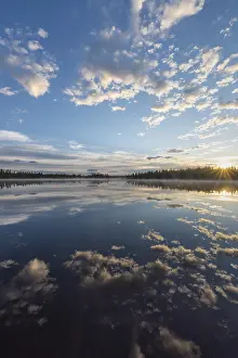 Drucke von Wolkenreflex in einem Waldsee, Norrbotten, Lappland, Schweden, Juli 2017 See Drucke: Wolkenreflex in einem Waldsee.