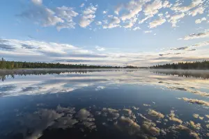 Drucke von Wolkenreflex in einem Waldsee, Norrbotten, Lappland, Schweden, Juli 2017 See Drucke: Wolkenreflex in einem Waldsee.